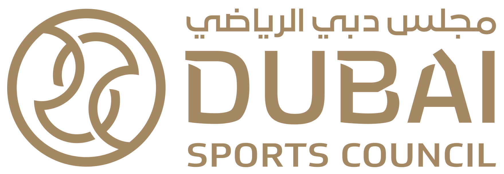DSC Logo